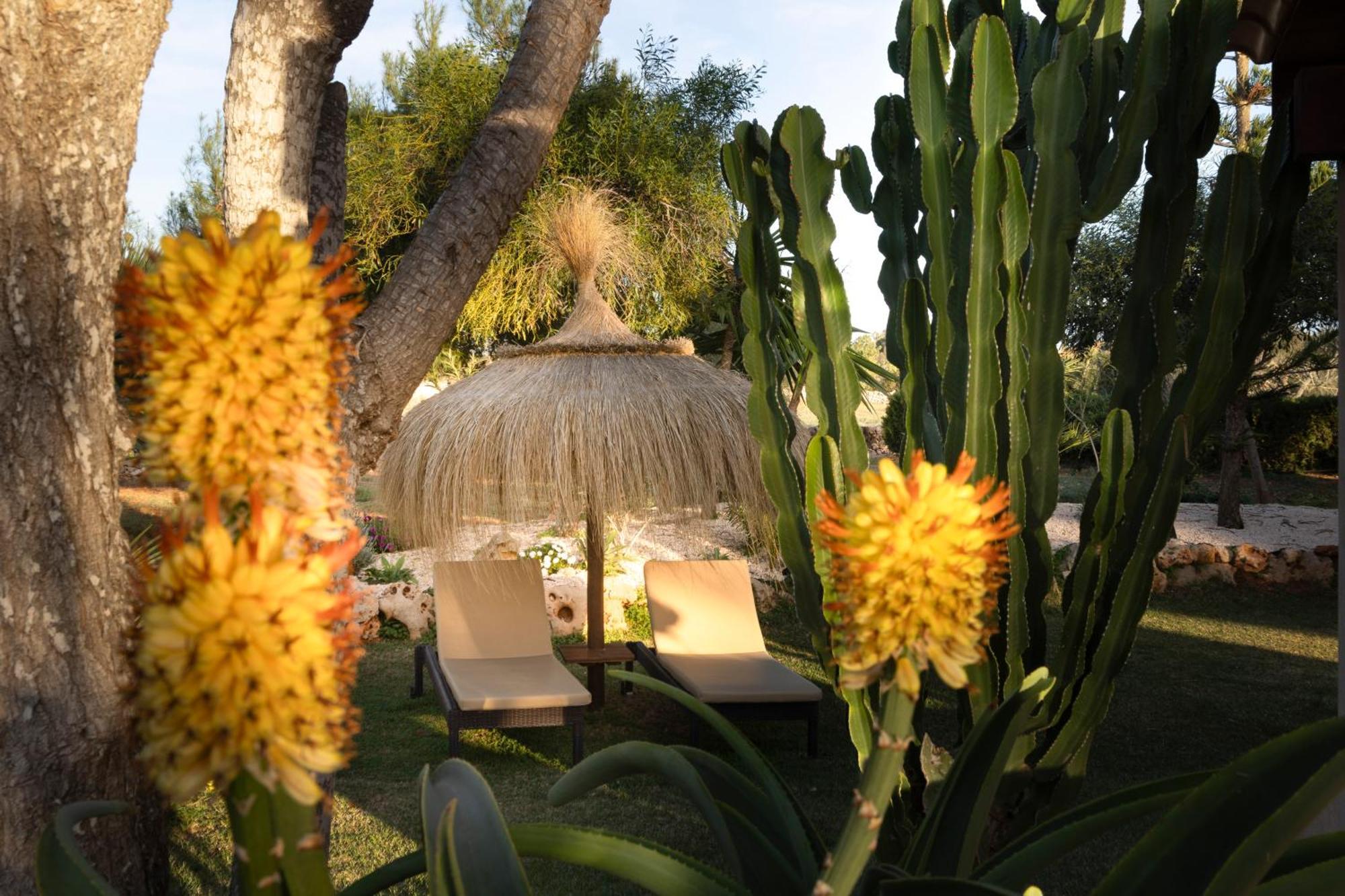 Agroturismo Finca Sa Tanca Cala D´Or Exteriör bild