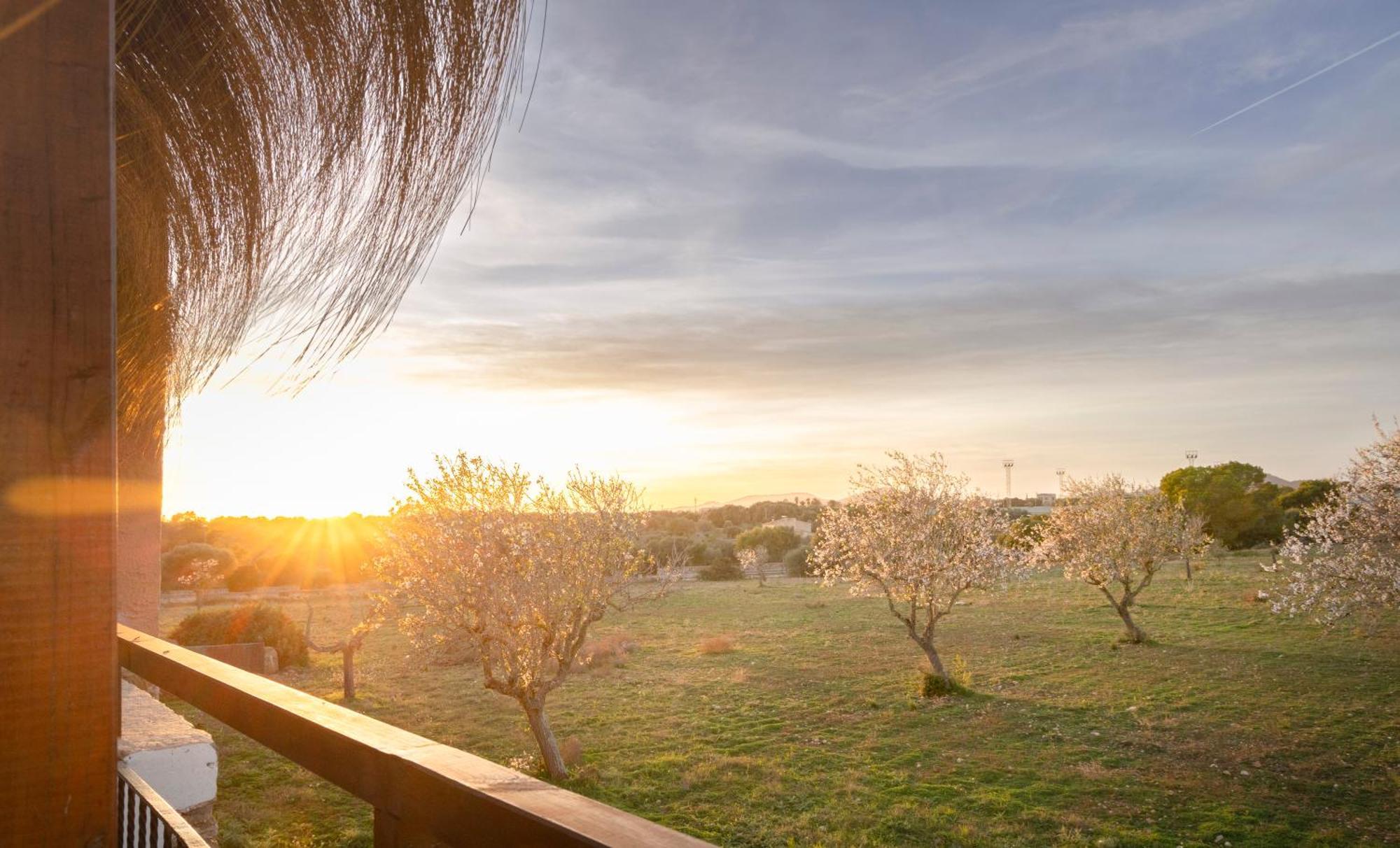 Agroturismo Finca Sa Tanca Cala D´Or Exteriör bild