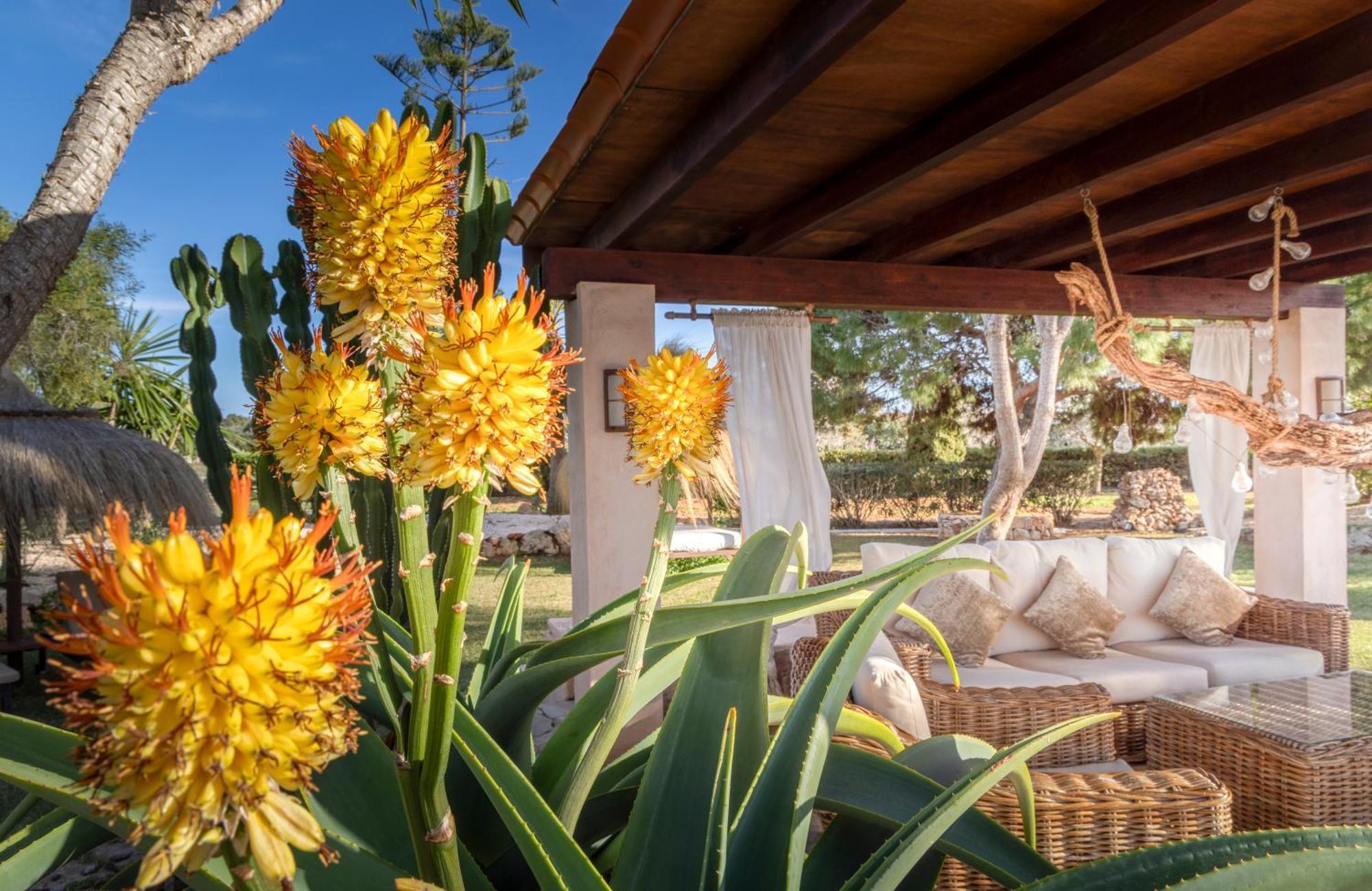 Agroturismo Finca Sa Tanca Cala D´Or Exteriör bild